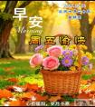 周五早安美图-允许一切如其所是，将心放宽，方能盛放更多宁静