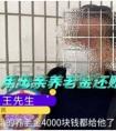 九旬老母亲把养老钱给小儿子，大儿子：受不了，太啃老了，花了50多万，拿走4000元给老人100元！