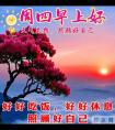 星期四非常漂亮的早上好问候语、图片 周四早安问候祝福语温馨句子