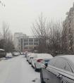 京城初雪