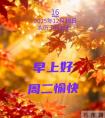 2025年12月16日早上好 早上好温馨问候祝福语 早安精美图片 周二愉快