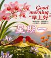 周一早安问候美图-来来往往一个真，平平常常一个诚
