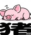 12月18号至12月24号，周四，生肖猪，即将喜从天降！
