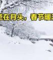 今年冬至不一般，“冬至在月头，春节暖洋洋”，2026年春节冷到哭吗？
