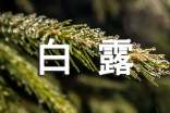 白露节气祝福语