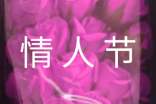 情人节情书集锦15篇