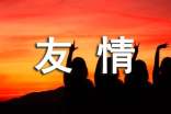 简短的友情唯美句子锦集60条